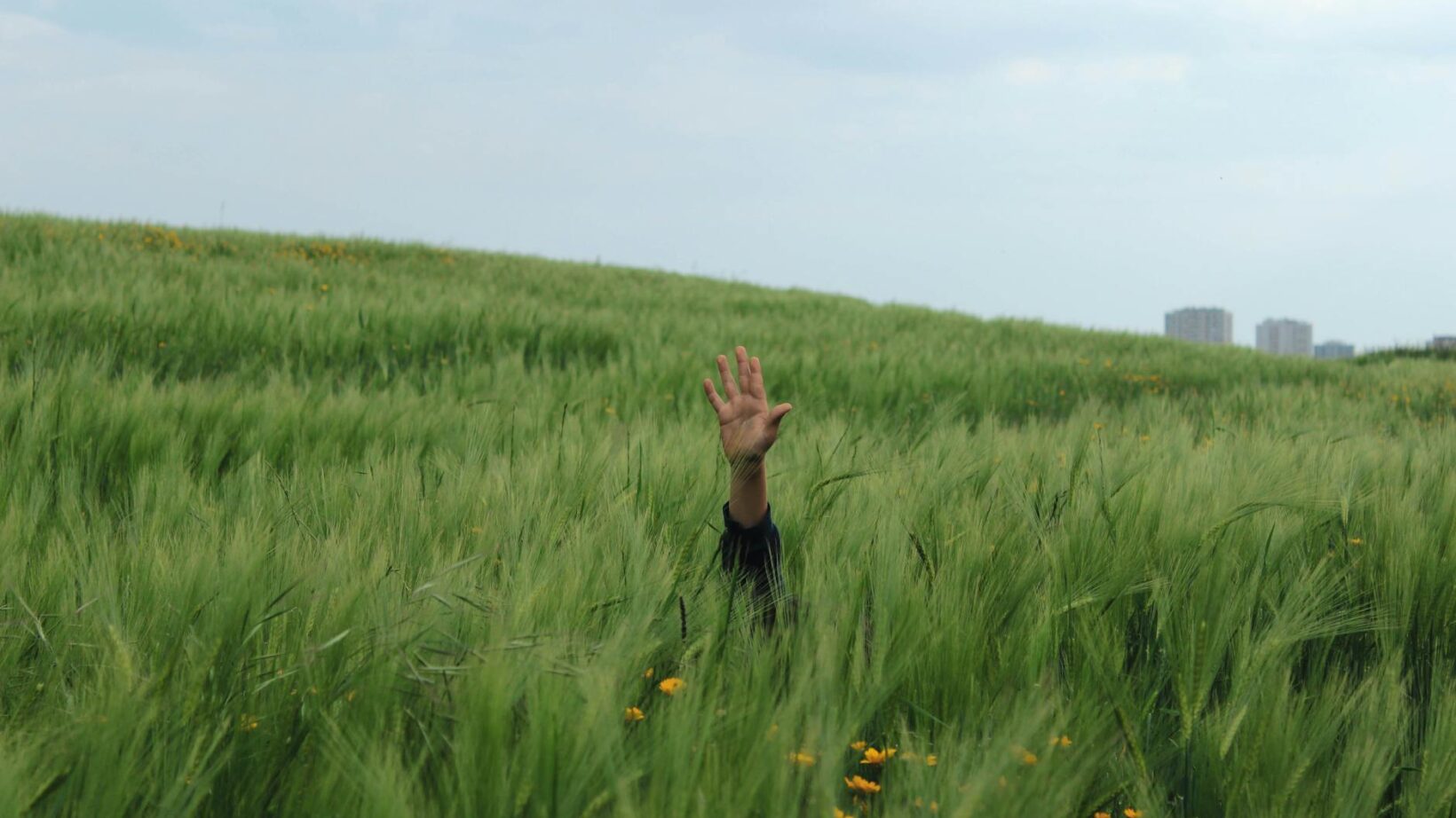 person raising his hand in the middle of a grass field