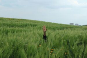 person raising his hand in the middle of a grass field